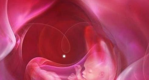 第一次做试管婴儿很紧张，术前有哪些准备是必须得做的？