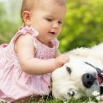 东莞东华医院试管婴儿费用公布(照流程花钱不花冤枉钱)