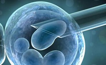 2026郑州卵子三代试管价格明细一览，附试管省钱方法分享